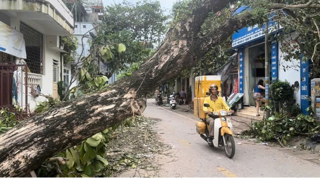 Nghĩa tình người Bưu điện trong bão, lũ (bài 2): Những câu chuyện ấm tình người Bưu điện - Ảnh 4.