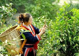 Chàng trai người Mông đi đầu chuyển đổi số du lịch ở Đồng Văn - Ảnh 1.
