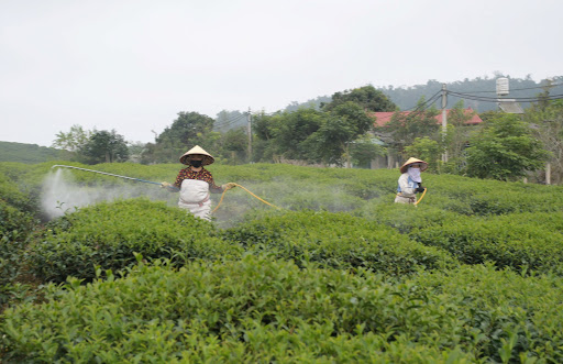 Nông nghiệp ứng dụng công nghệ cao - Ảnh 1.