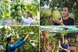 Ra mắt trang thông tin điện tử về cải cách hành chính, chuyển đổi số và Đề án 06 - Ảnh 1.