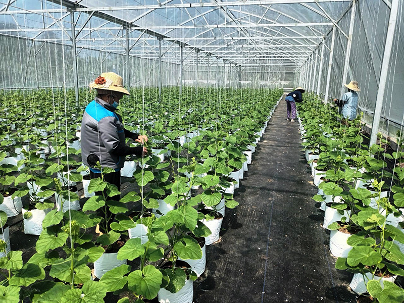 Quảng Bình: Thúc đẩy chuyển đổi số nông nghiệp- Ảnh 1.