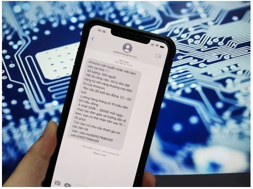 Tội phạm mạng liên tục thay đổi hình thức lừa đảo theo xu hướng thời sự- Ảnh 1.