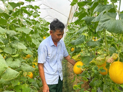 Tái cơ cấu nông nghiệp trong xây dựng nông thôn mới ở Ninh Bình- Ảnh 1. Tái cơ cấu nông nghiệp trong xây dựng nông thôn mới ở Ninh Bình- Ảnh 1.