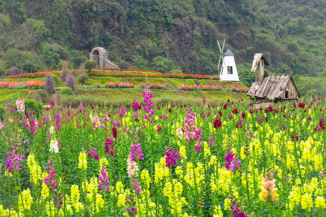 Ninh Bình khẳng định vị thế tiên phong trong xây dựng nông thôn mới - Ảnh 1.