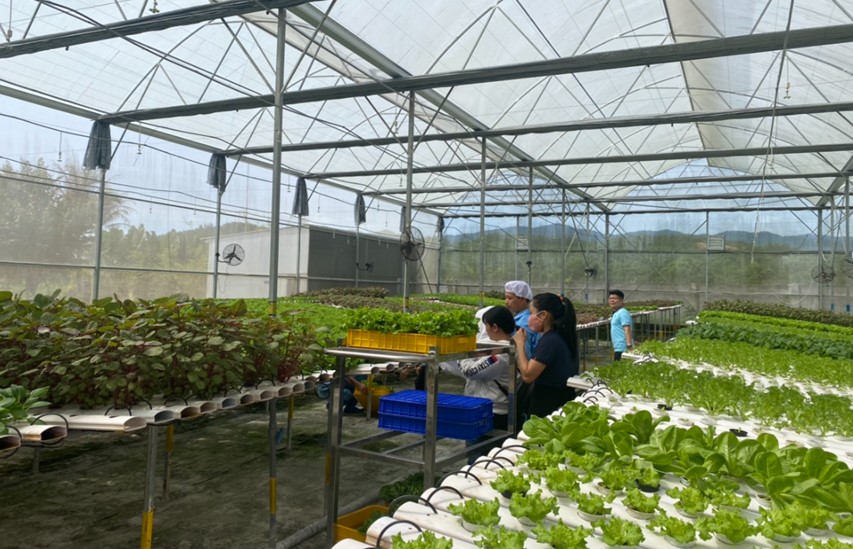 Diên Khánh: Điểm sáng xây dựng nông thôn mới gắn với khoa học và công nghệ- Ảnh 1.