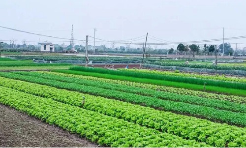 Diên Khánh: Điểm sáng xây dựng nông thôn mới gắn với khoa học và công nghệ- Ảnh 2.