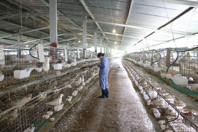 Khánh Hòa: Khoa học và công nghệ mở đường cho nông thôn mới chuyển mình- Ảnh 2. Khánh Hòa: Khoa học và công nghệ mở đường cho nông thôn mới chuyển mình- Ảnh 2.