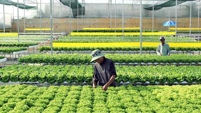 Bước “chuyển mình” trong nông thôn mới ở Lâm Đồng- Ảnh 1. Bước “chuyển mình” trong nông thôn mới ở Lâm Đồng- Ảnh 1.