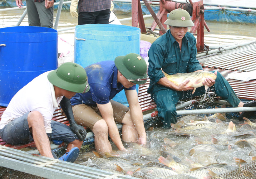 Bắc Ninh dự kiến huy động trên 7.230 tỷ đồng cho xây dựng nông thôn mới- Ảnh 1.