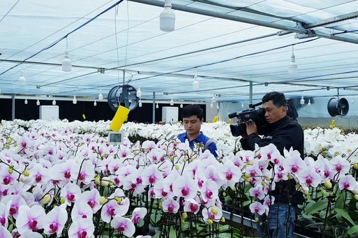 Quảng Trị kiện toàn Ban Chỉ đạo phát triển khoa học, công nghệ, đổi mới sáng tạo và chuyển đổi số- Ảnh 2.