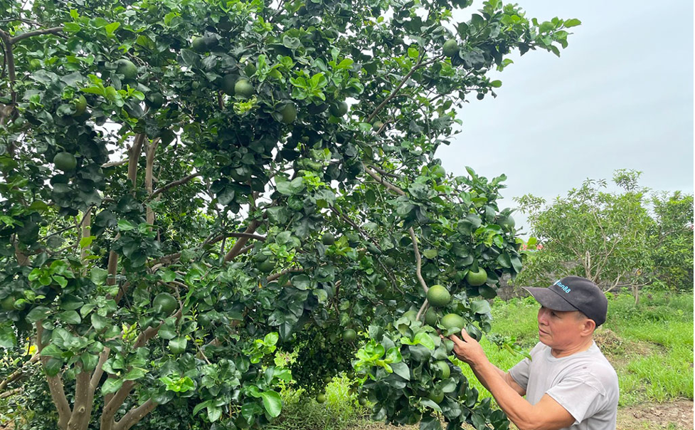 Không để gián đoạn nhiệm vụ xây dựng nông thôn mới - Ảnh 2.