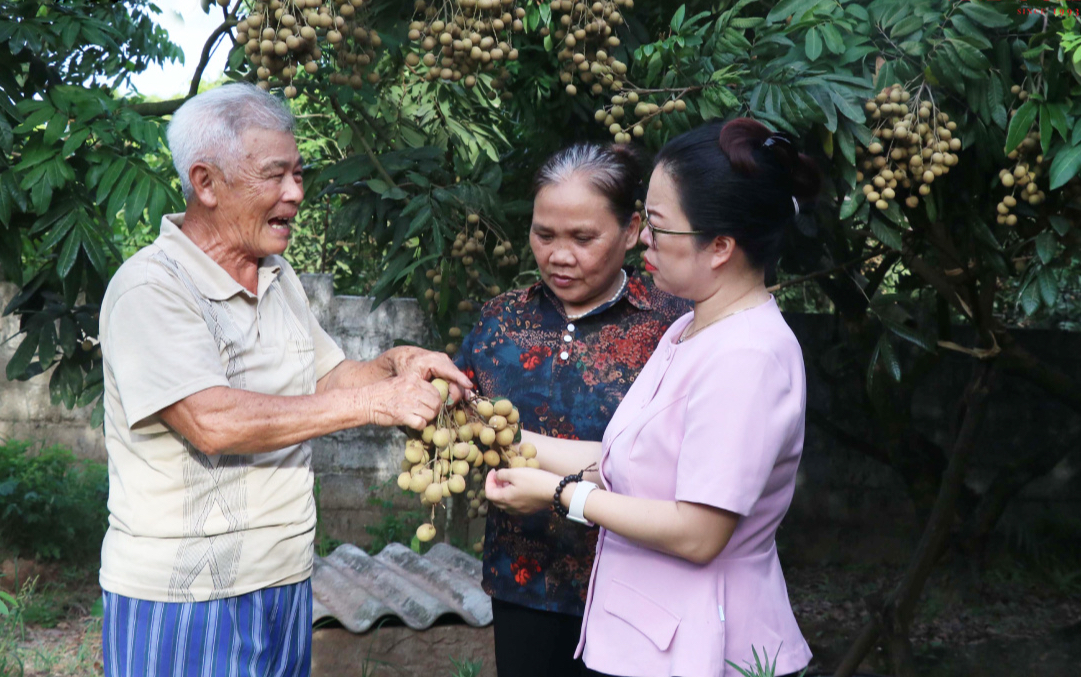 Nông thôn mới Hưng Yên chuyển mình cùng chính quyền địa phương 2 cấp- Ảnh 1. Nông thôn mới Hưng Yên chuyển mình cùng chính quyền địa phương 2 cấp- Ảnh 1.