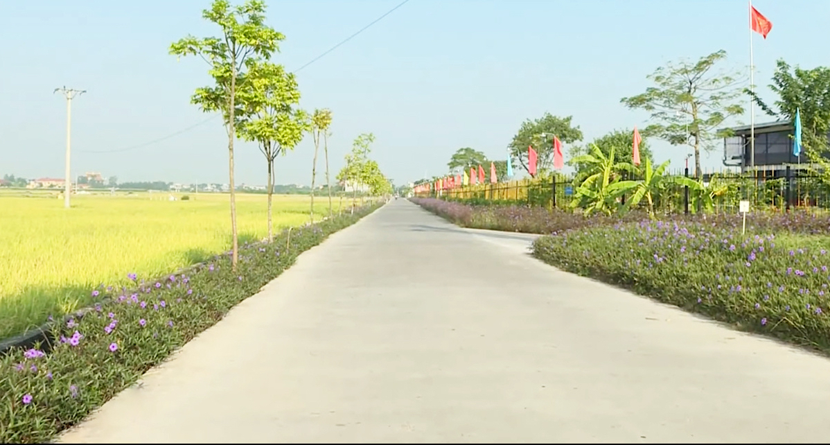 Hưng Yên: Nông thôn mới chuyển mình mạnh mẽ cùng mô hình chính quyền địa phương hai cấp- Ảnh 1. Hưng Yên: Nông thôn mới chuyển mình mạnh mẽ cùng mô hình chính quyền địa phương hai cấp- Ảnh 1.