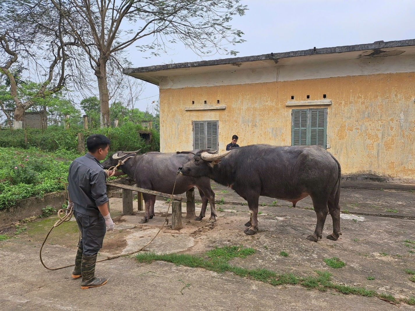 Giải pháp quyết định cho công cuộc giảm nghèo Khánh Hòa- Ảnh 1. Giải pháp quyết định cho công cuộc giảm nghèo Khánh Hòa- Ảnh 1.
