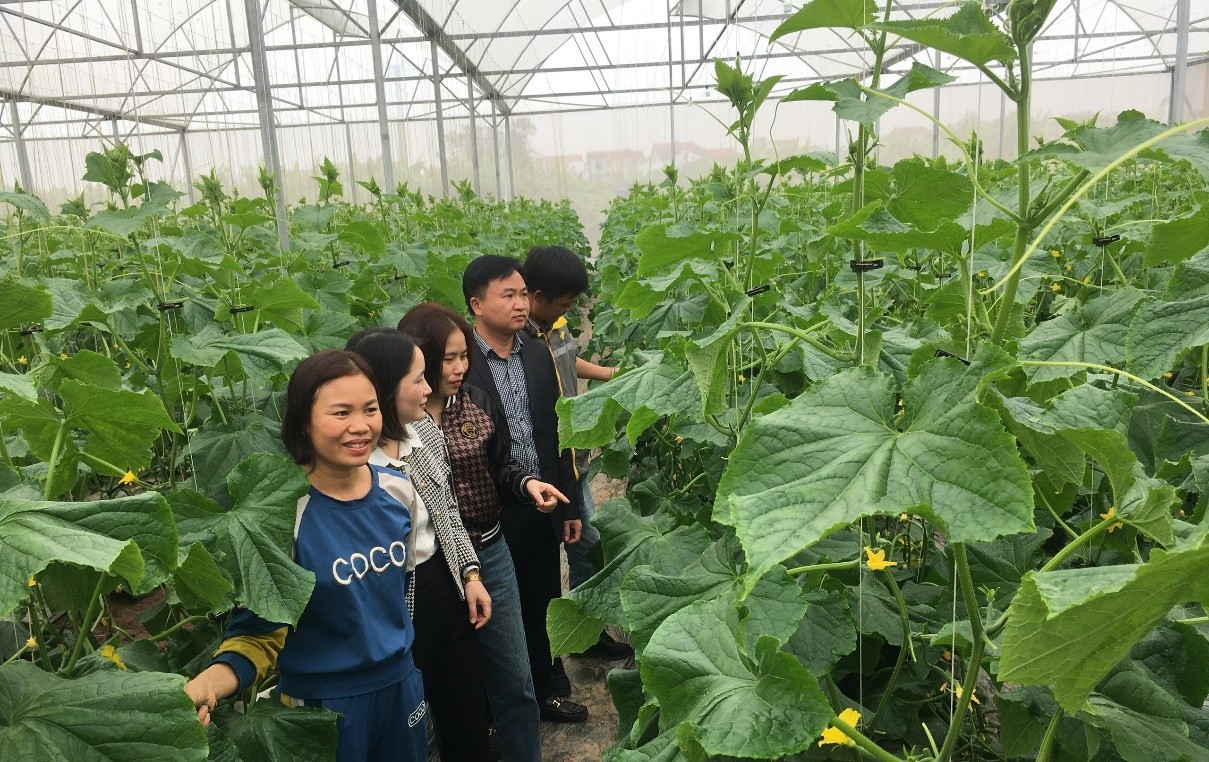 Ứng dụng khoa học kỹ thuật, hướng đi hiệu quả trong xây dựng nông thôn mới ở Bắc Ninh- Ảnh 1. Ứng dụng khoa học kỹ thuật, hướng đi hiệu quả trong xây dựng nông thôn mới ở Bắc Ninh- Ảnh 1.