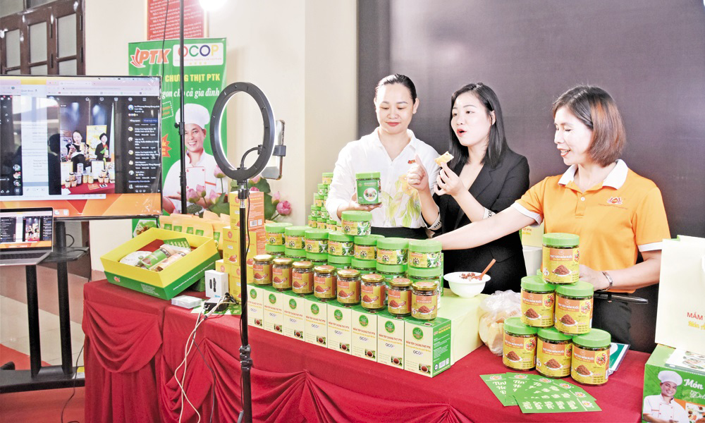 Bắc Ninh: Nông dân chuyển đổi số, kiến tạo nông thôn mới hiện đại- Ảnh 1. Bắc Ninh: Nông dân chuyển đổi số, kiến tạo nông thôn mới hiện đại- Ảnh 1.