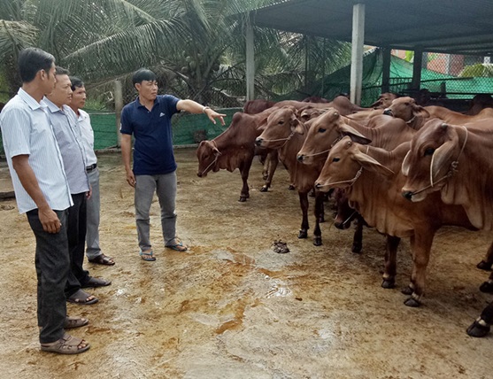 Khoa học và công nghệ thúc đẩy chuyển đổi xanh trong lĩnh vực chăn nuôi- Ảnh 1.