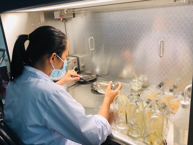 科学技術イノベーション開発基金の資金調達メカニズムの突破口 - 写真2。 Bước đột phá về cơ chế tài chính cho các Quỹ phát triển khoa học, công nghệ và đổi mới sáng tạo- Ảnh 2.