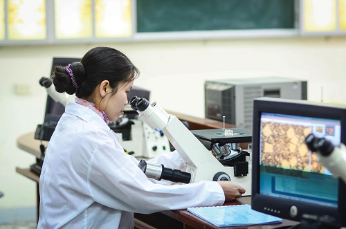 Đổi mới cơ chế khoán chi trong thực hiện nhiệm vụ khoa học, công nghệ và đổi mới sáng tạo- Ảnh 1. Đổi mới cơ chế khoán chi trong thực hiện nhiệm vụ khoa học, công nghệ và đổi mới sáng tạo- Ảnh 1.