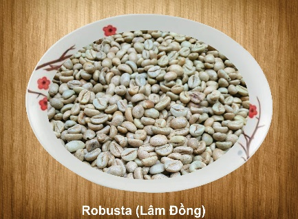 Cà phê Lâm Đồng khẳng định vị thế trên bản đồ thế giới- Ảnh 1.