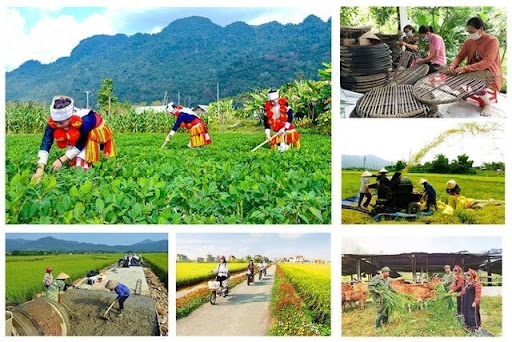 Nhiều kết quả nổi bật từ chương trình giảm nghèo bền vững- Ảnh 1.
