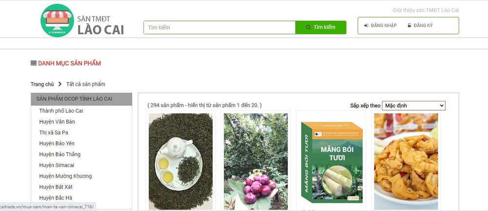 Lào Cai bứt phá từ Chương trình OCOP: Lan tỏa giá trị nông thôn mới, hướng tới kinh tế xanh và đô thị sinh thái- Ảnh 3.