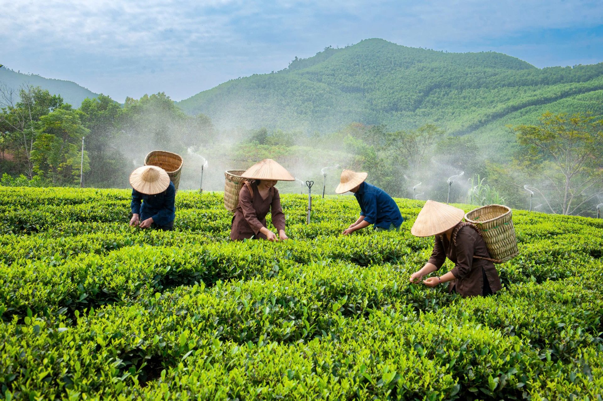 Thái Nguyên: Phát triển nông nghiệp thông minh gắn với xây dựng nông thôn mới hiện đại- Ảnh 1.