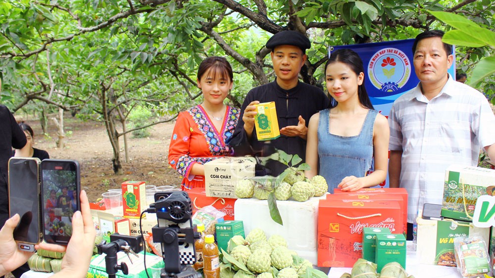 Thái Nguyên: Phát triển nông nghiệp thông minh gắn với xây dựng nông thôn mới hiện đại- Ảnh 2.