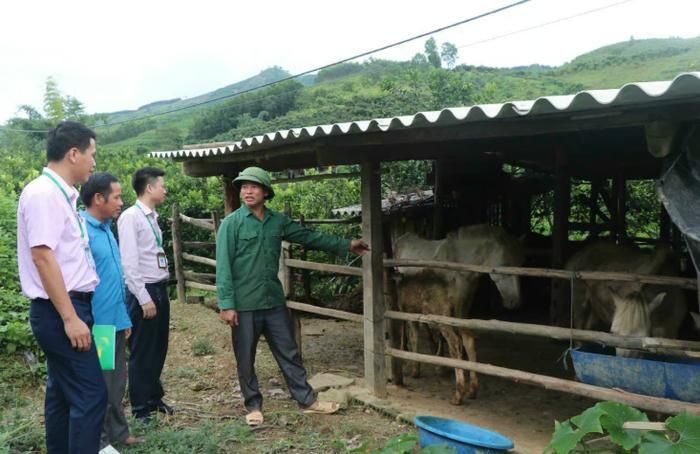 Cú hích tín dụng chính sách giúp Bắc Ninh giảm nghèo nhanh và bền vững- Ảnh 1.