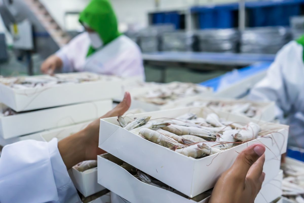 Đột phá công nghệ chế biến, bảo quản nông sản: Hướng tới chuỗi giá trị bền vững- Ảnh 1.