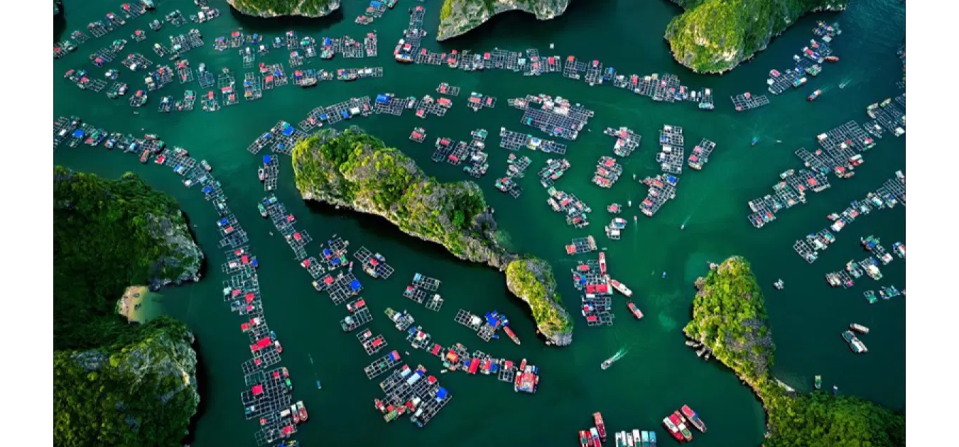 Phát triển kinh tế biển bằng sức mạnh khoa học và công nghệ hiện đại- Ảnh 1.