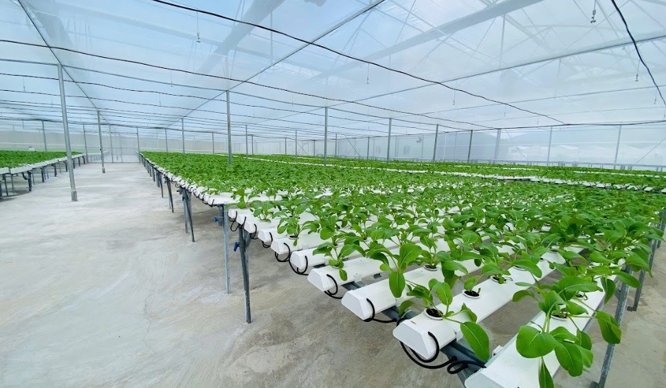 Ứng dụng công nghệ cao trong nông nghiệp: Hướng đi bền vững giảm nghèo vùng miền núi- Ảnh 2.