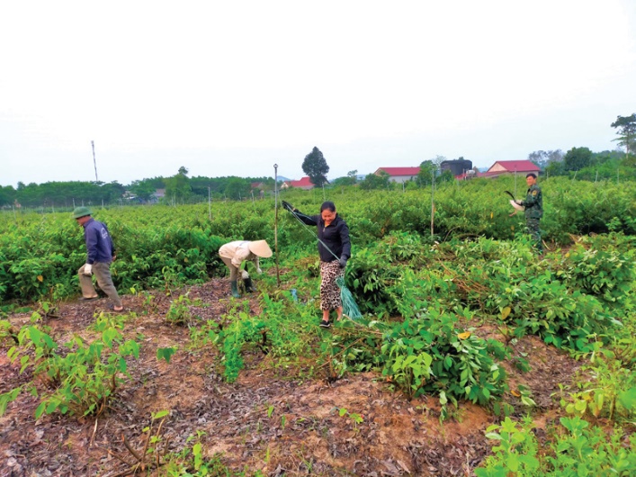 Quảng Trị triển khai đồng bộ các chương trình mục tiêu quốc gia- Ảnh 1. Quảng Trị triển khai đồng bộ các chương trình mục tiêu quốc gia- Ảnh 1.