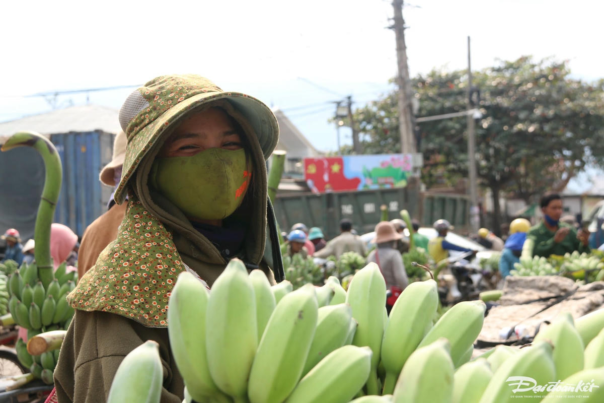 Quảng Trị triển khai đồng bộ các chương trình mục tiêu quốc gia- Ảnh 2. Quảng Trị triển khai đồng bộ các chương trình mục tiêu quốc gia- Ảnh 2.