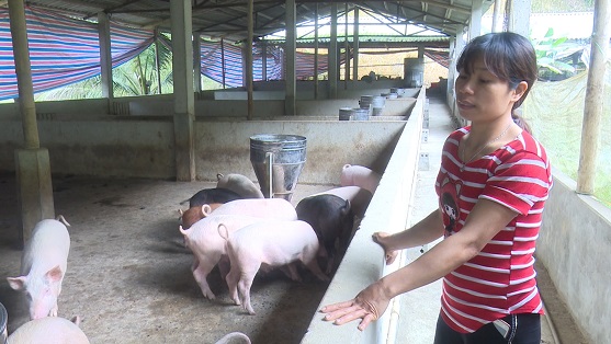 Thanh Hóa triển khai hiệu quả Chỉ thị số 22-CT/TU về giảm nghèo và xóa nhà tạm, nhà dột nát- Ảnh 2.