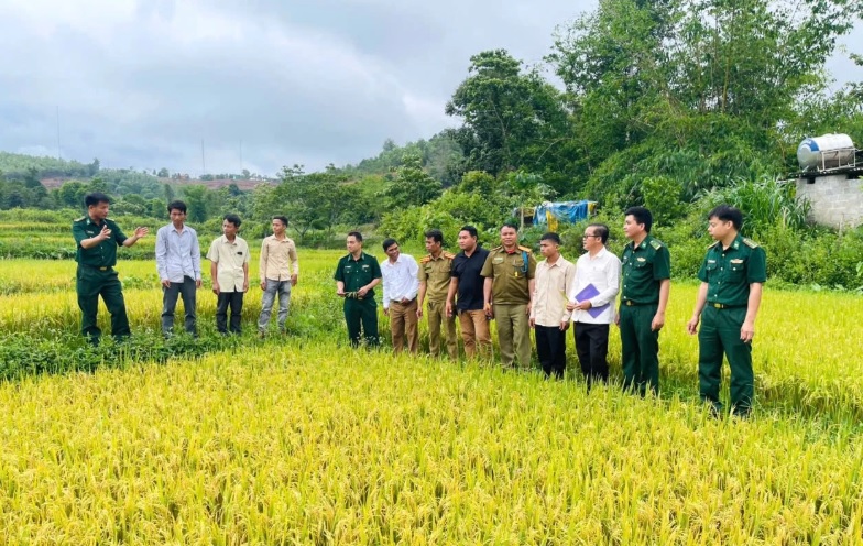 Chìa khóa mở lối phát triển bền vững ở vùng biên Quảng Trị- Ảnh 1. Chìa khóa mở lối phát triển bền vững ở vùng biên Quảng Trị- Ảnh 1.