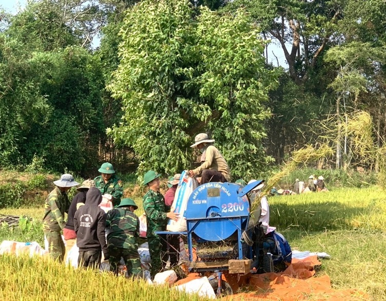 Chuyển đổi giống cây trồng tăng năng suất nơi vùng biên- Ảnh 2. Chuyển đổi giống cây trồng tăng năng suất nơi vùng biên- Ảnh 2.