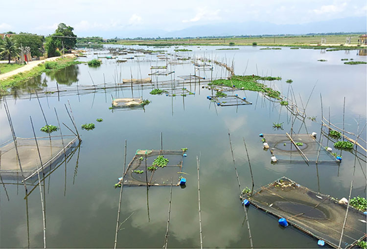 Thành phố Huế thực hiện số hóa nâng cao hiệu quả quản lý an sinh xã hội- Ảnh 2. Thành phố Huế thực hiện số hóa nâng cao hiệu quả quản lý an sinh xã hội- Ảnh 2.