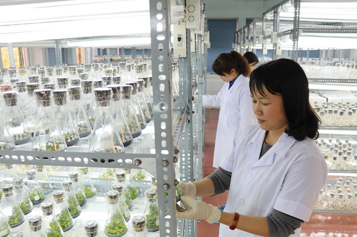 Chương trình hành động phát triển và ứng dụng công nghệ sinh học - Ảnh 1.