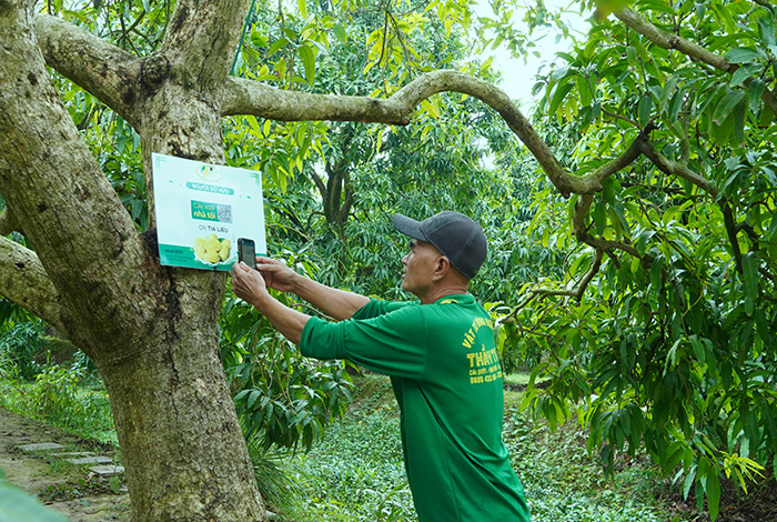 Làng thông minh sáng tạo của tỉnh Đồng Tháp- Ảnh 2. Làng thông minh sáng tạo của tỉnh Đồng Tháp- Ảnh 2.