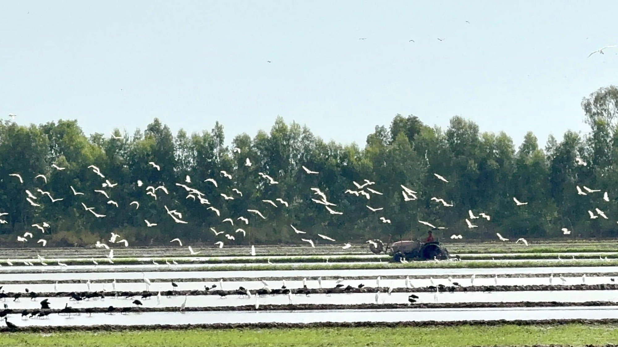 Phát triển sinh kế xanh, hướng đến giảm nghèo bền vững- Ảnh 1. Phát triển sinh kế xanh, hướng đến giảm nghèo bền vững- Ảnh 1.