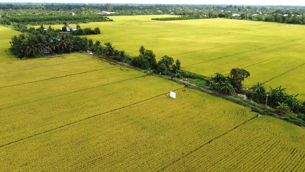 Ứng dụng khoa học, hình thành chuỗi liên kết vùng nông nghiệp- Ảnh 2. Ứng dụng khoa học, hình thành chuỗi liên kết vùng nông nghiệp- Ảnh 2.