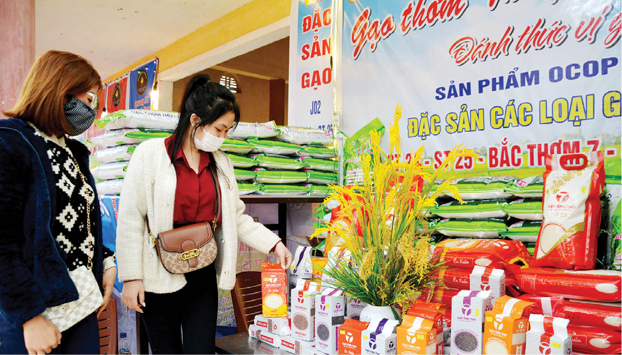 Giảm nghèo bền vững ở Hương Thủy- Ảnh 1. Giảm nghèo bền vững ở Hương Thủy- Ảnh 1.