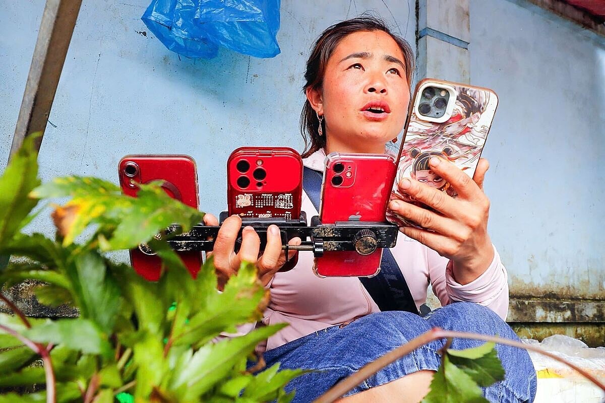 Chuyển đổi số, hành trình dài nhưng là cơ hội vàng của Hợp tác xã - Ảnh 1.