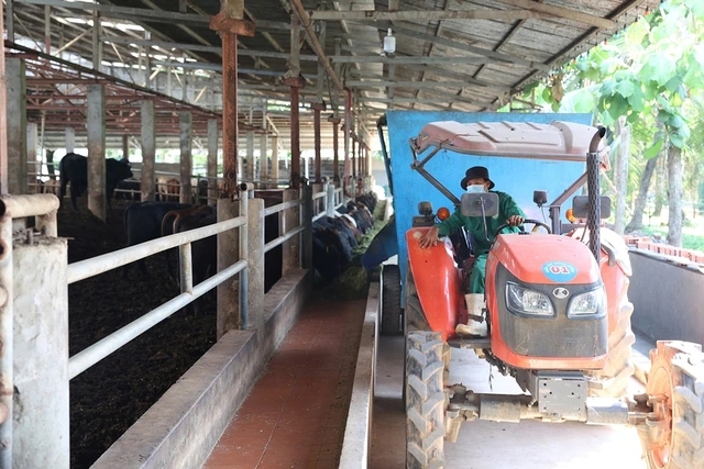 Tây Ninh tăng tốc phát triển nông nghiệp công nghệ cao - Ảnh 1.