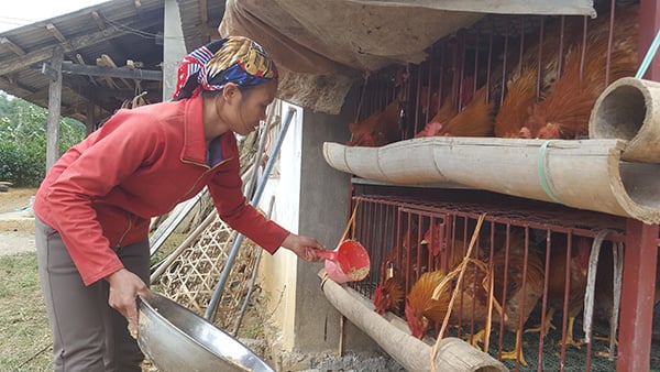 Ứng dụng khoa học, công nghệ và đổi mới sáng tạo nâng tầm các sản phẩm chủ lực của Lạng Sơn - Ảnh 2.