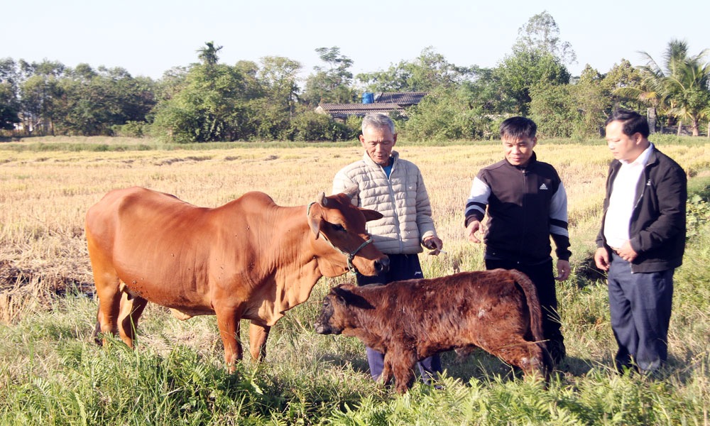 Đồng Việt (Bắc Ninh) giảm nghèo hiệu quả nhờ đa dạng cách làm - Ảnh 1.
