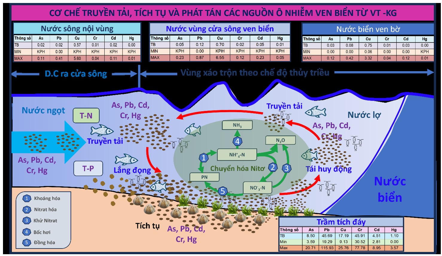Giải m&atilde; &ocirc; nhiễm v&ugrave;ng ven biển Nam Bộ - Ảnh 1.