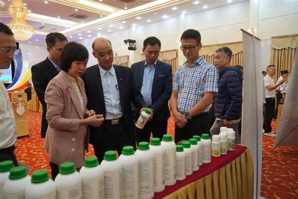 Đà Nẵng hướng tới trung tâm đổi mới sáng tạo của miền Trung - Tây Nguyên- Ảnh 2.