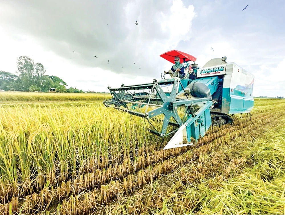 Can Tho främjar innovation mot målet Netto noll - Foto 1. Cần Thơ thúc đẩy đổi mới sáng tạo hướng tới mục tiêu Net Zero- Ảnh 1.